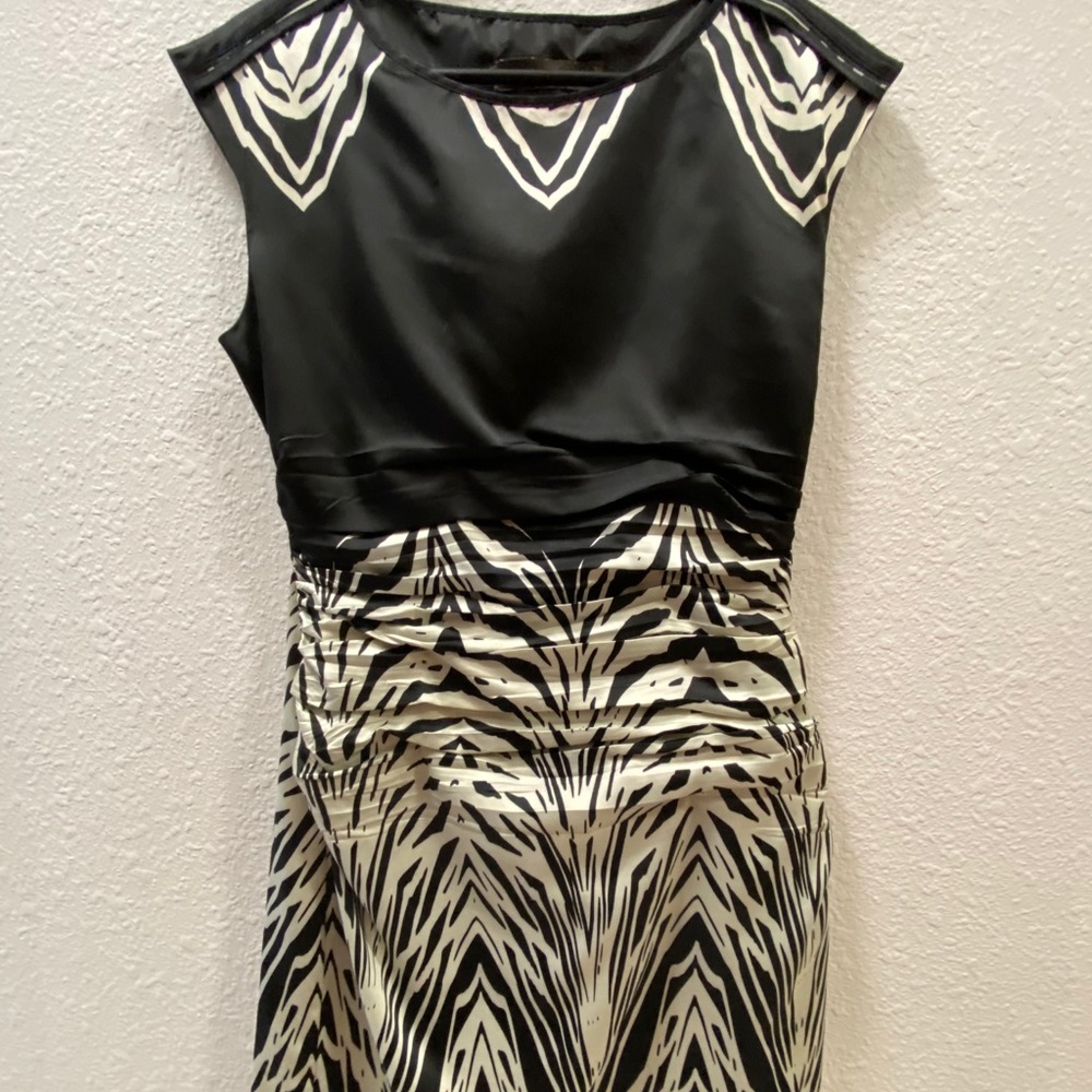 The Limited Size 2 dress